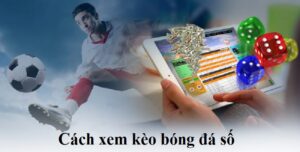 Chia sẻ cách xem kèo bóng đá số cơ bản cho người mới